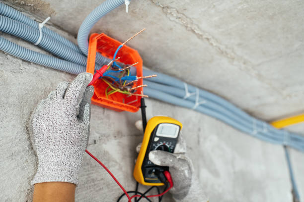 Best Electrician for Home Renovation  in Colfax, IA